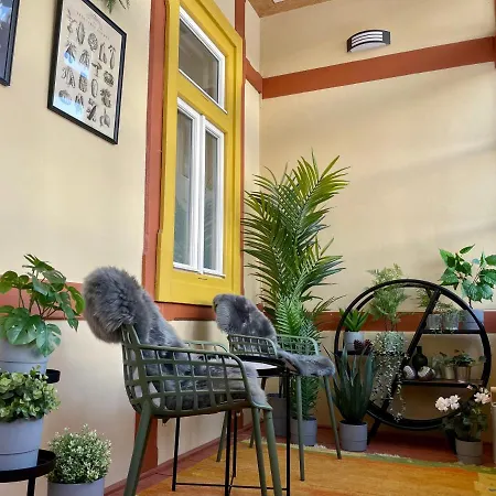 Mountain View Apartments With Sauna & Free Parking *